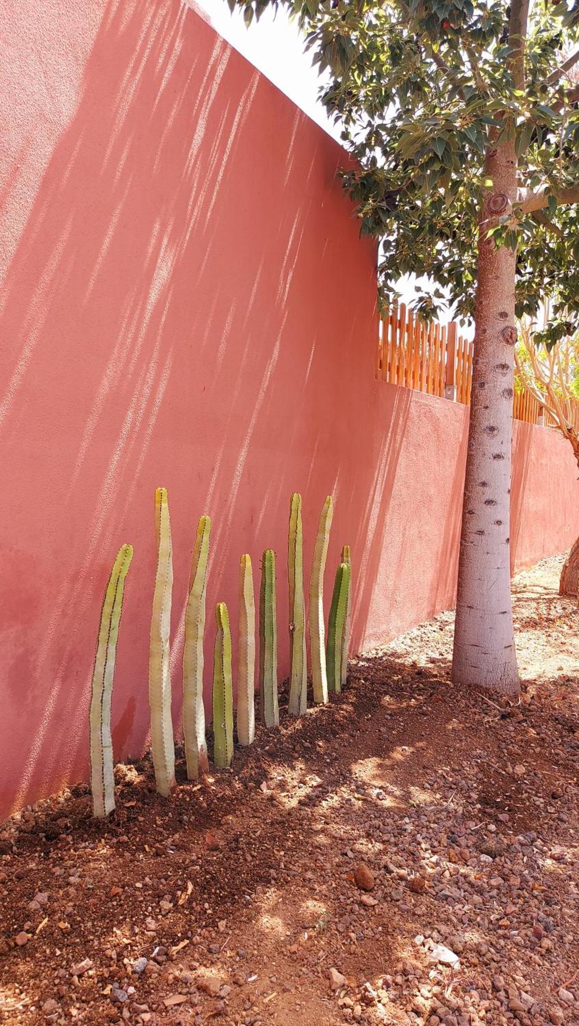 Adosado La Tabaiba Villa San Miguel de Abona Eksteriør billede